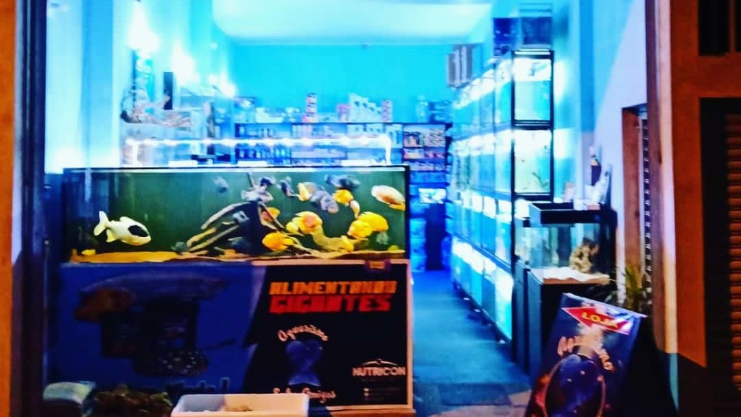 Paraiso dos Aquários LTDA-ME