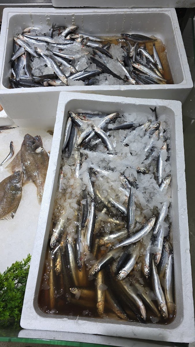 FRESH FISH - Photo 2
