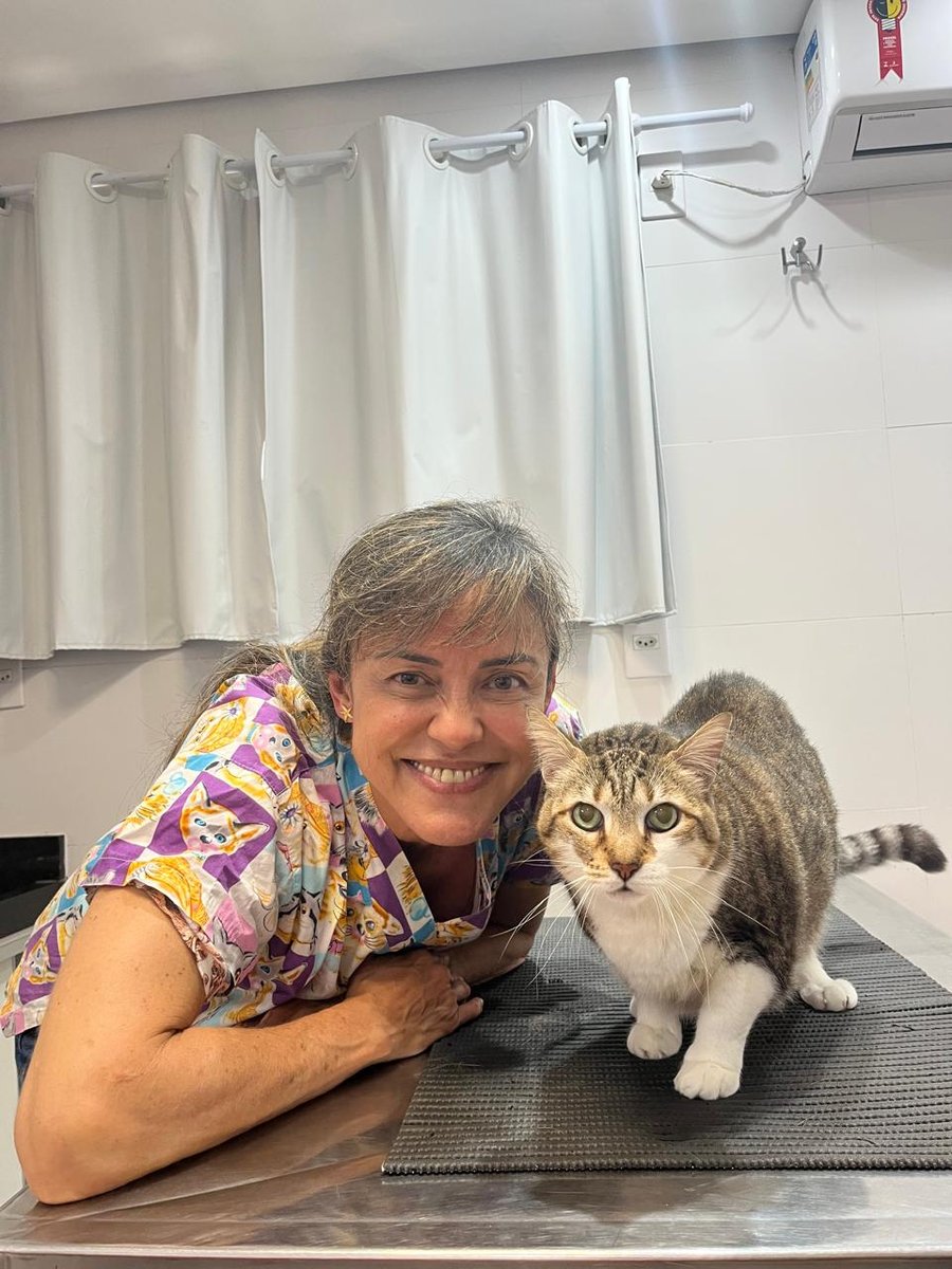 Clínica Veterinária Itapema