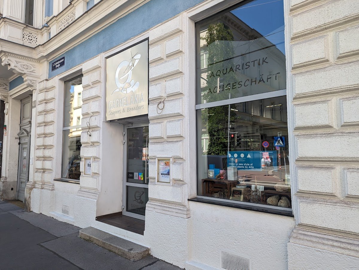 Garnelaxia - Foto 2