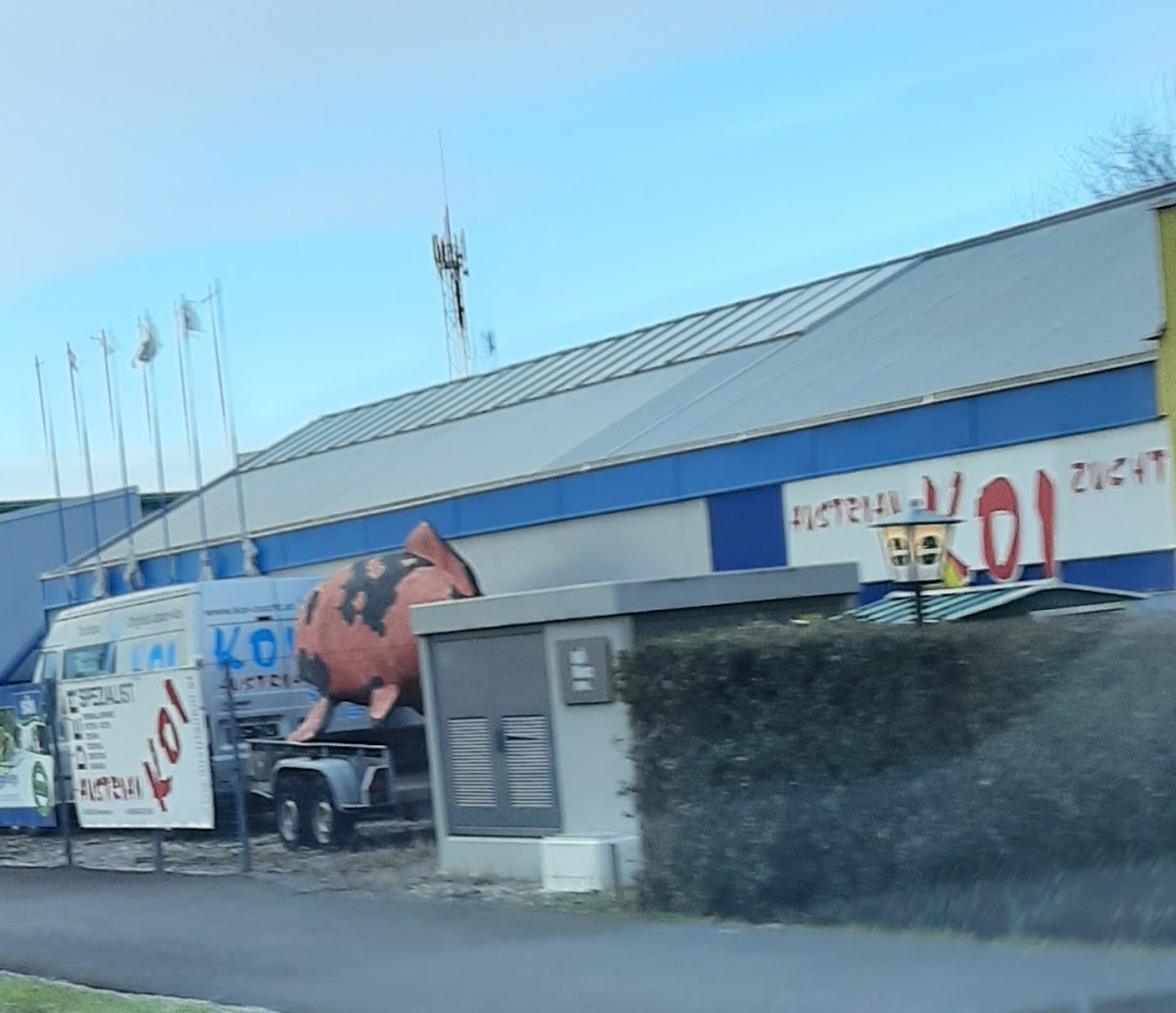 Austrian KOI Austria - Foto 2