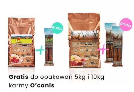 Bazar Pupila - Zdjęcie 2