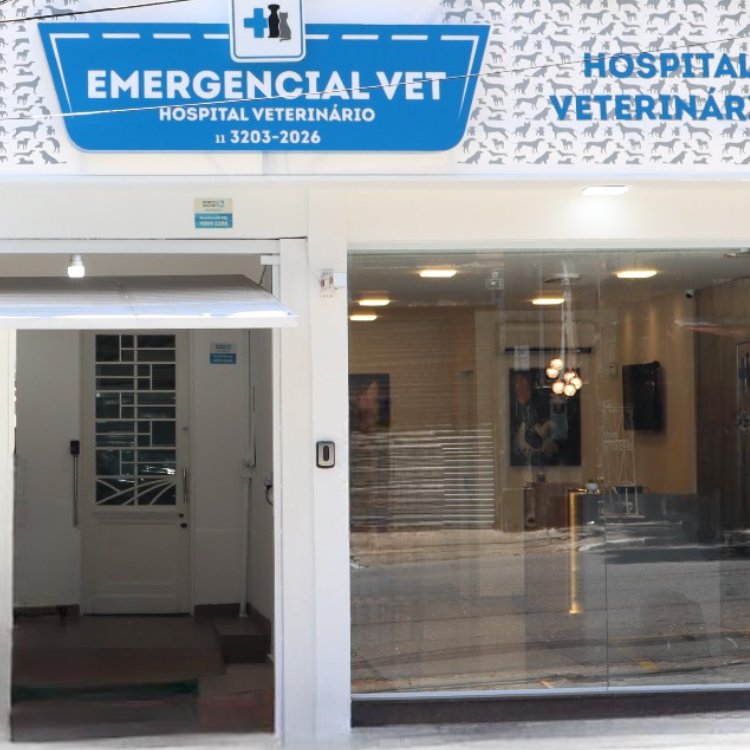 Veterinário 24h - Vila Mariana, Cambuci, Aclimação, Ipiranga