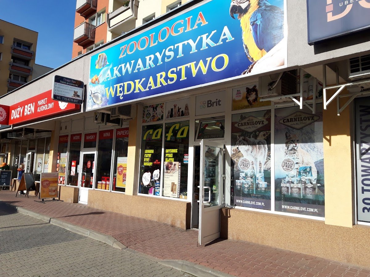 Rafa. Akwarystyka - Zdjęcie 2