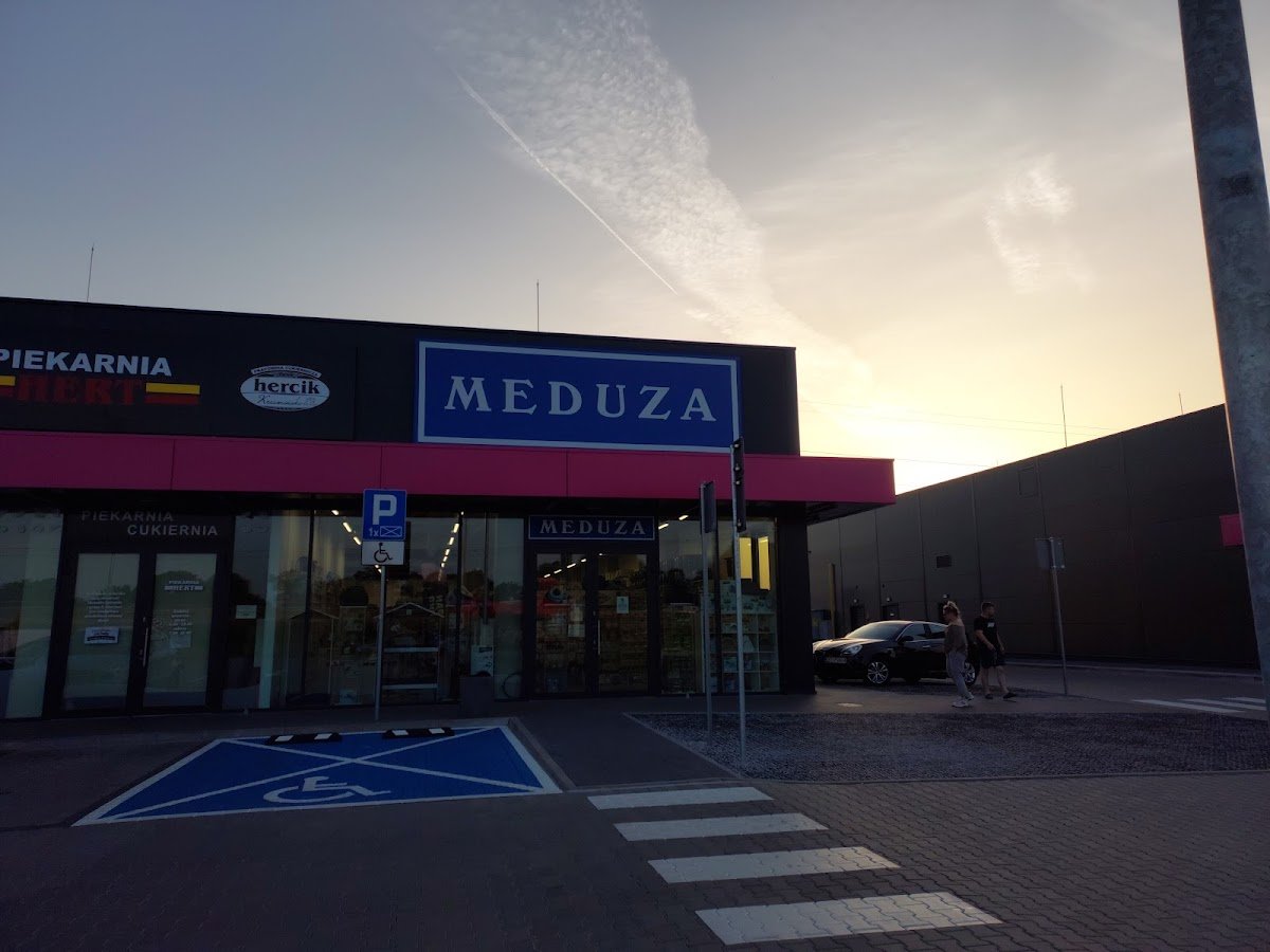 Meduza - Zdjęcie 2
