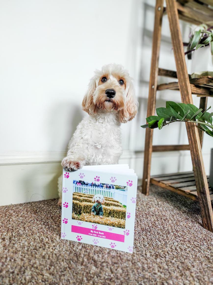 Puppibook - Photo 2