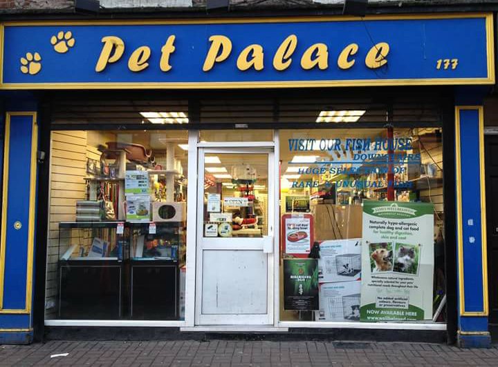 Pet Palace - Photo 2