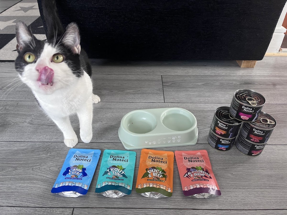 Yummy Pet’s Food - Photo 2