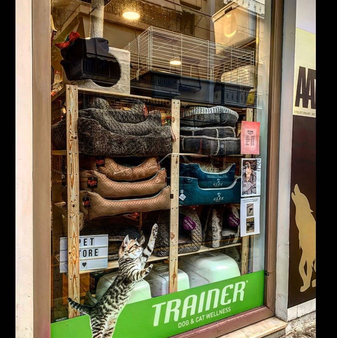 PET STORE - Photo 2