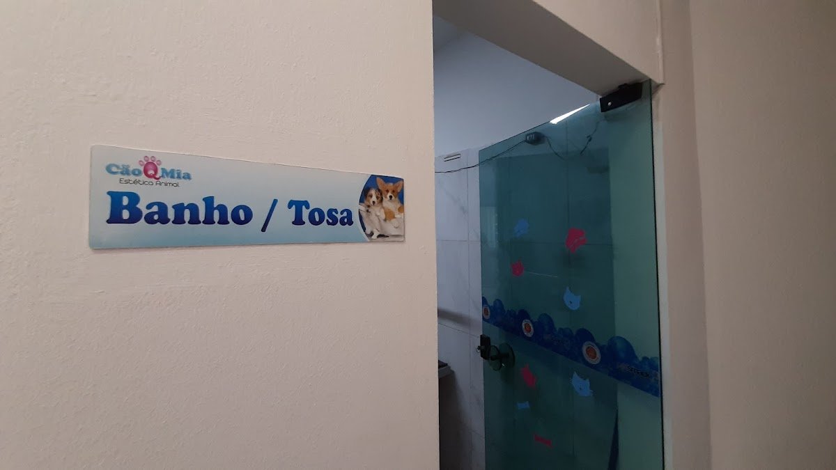 Cão Q Mia Estética Animal - Mogi das Cruzes