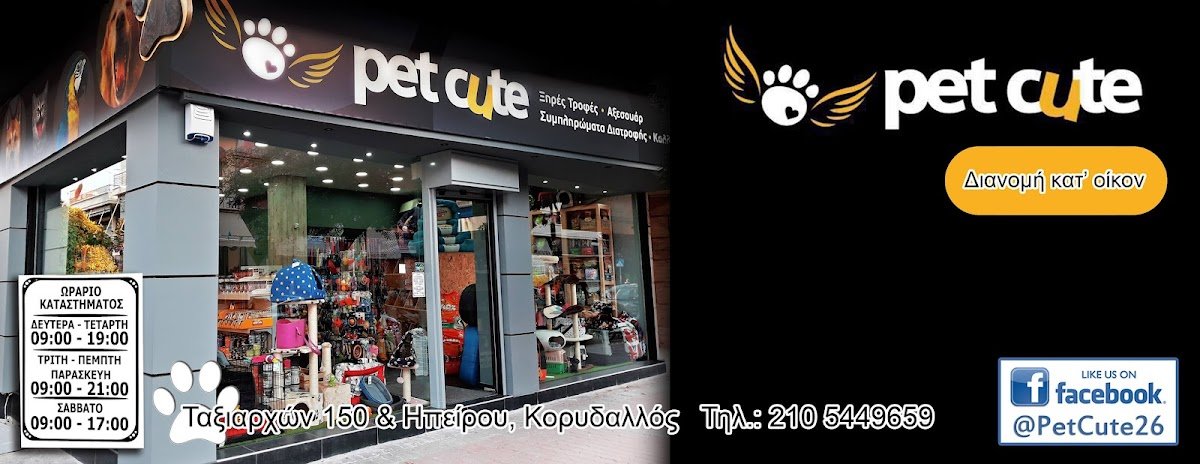 Pet Cute - Photo 2