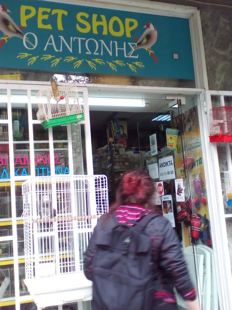 ΧΑΛΑΡΗΣ ΑΝΤΩΝΙΟΣ - Photo 2