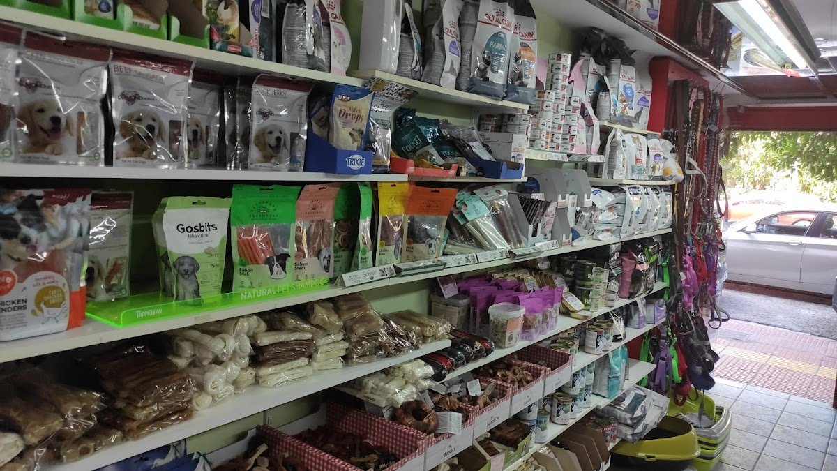 Pet Shop Perfect - Photo 2