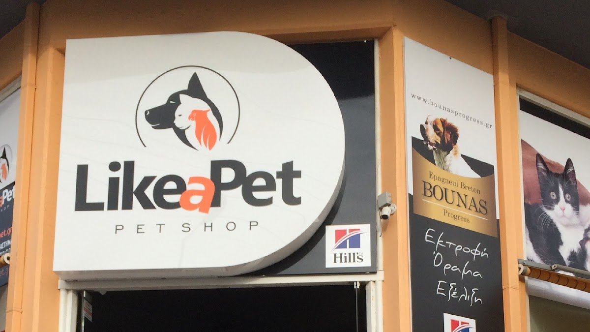 Like A Pet - Photo 2