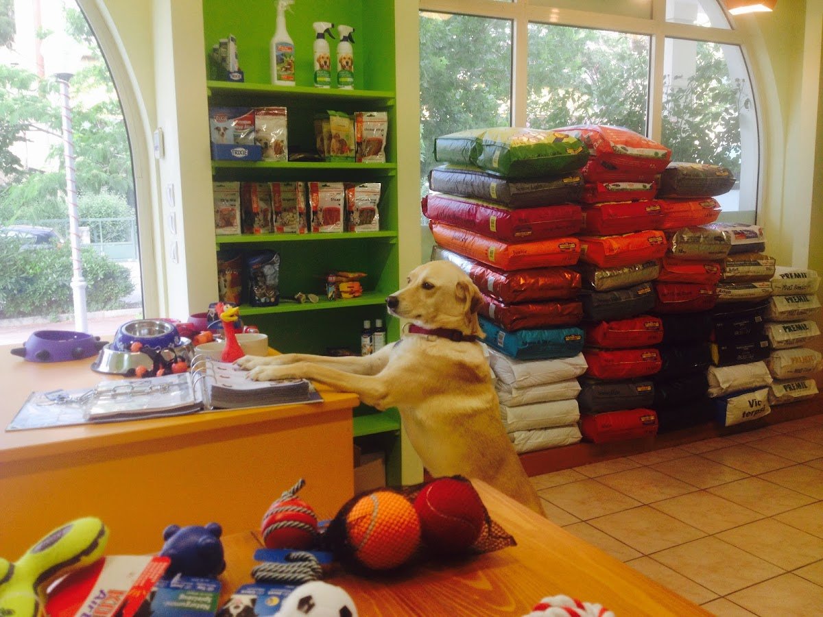 Animaltopia - Photo 2