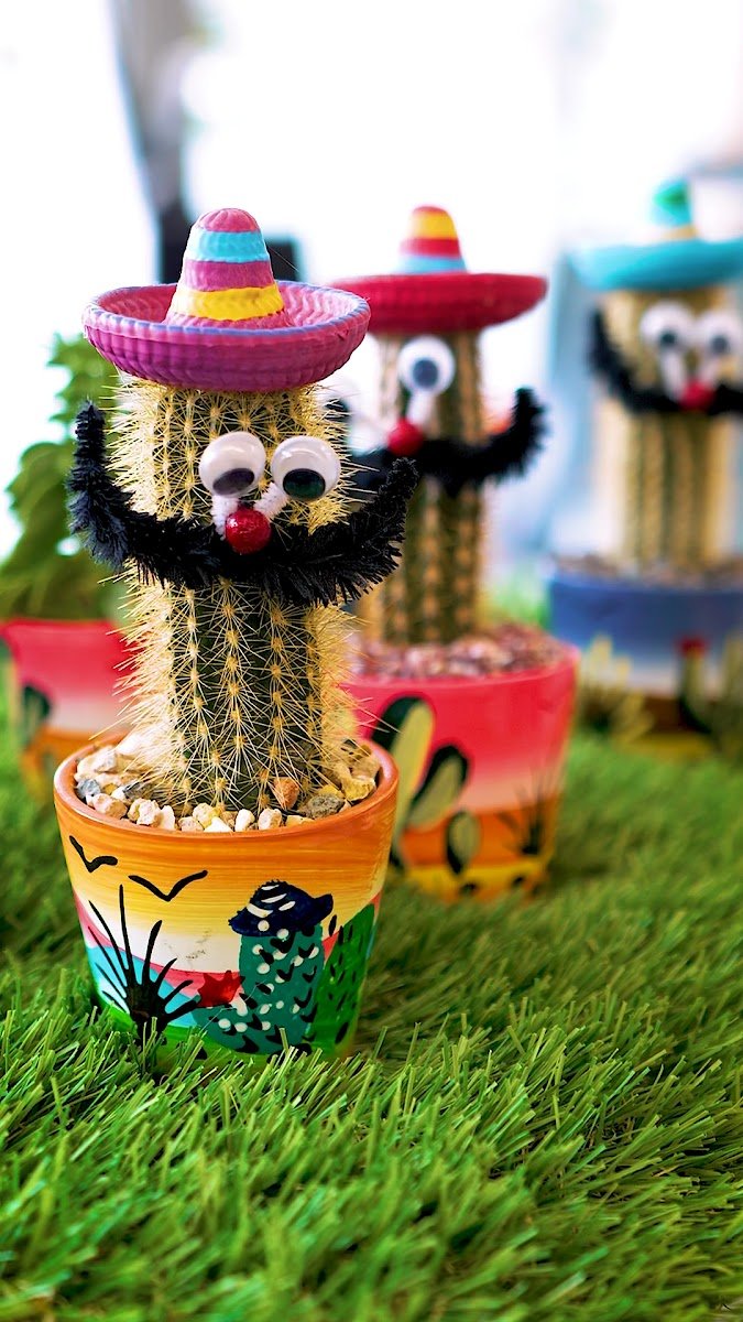 AGRO-PET - Photo 2