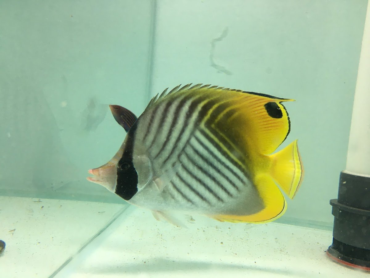 Aqualab - Photo 2