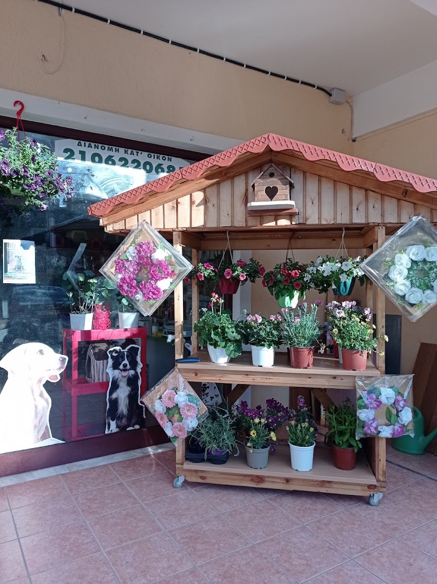 Frida's Pet Shop - Photo 2