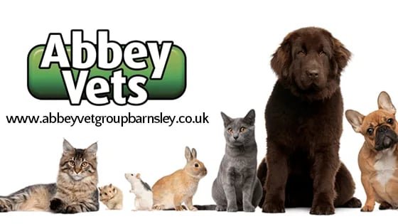 Abbey Vets - Photo 2