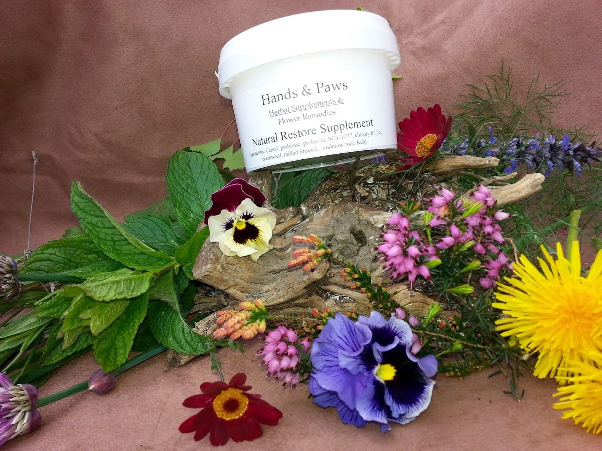 Hands and Paws Holistic supplements - Photo 2