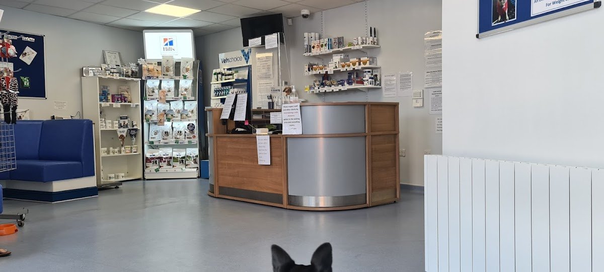 Abbey Vets - Photo 2