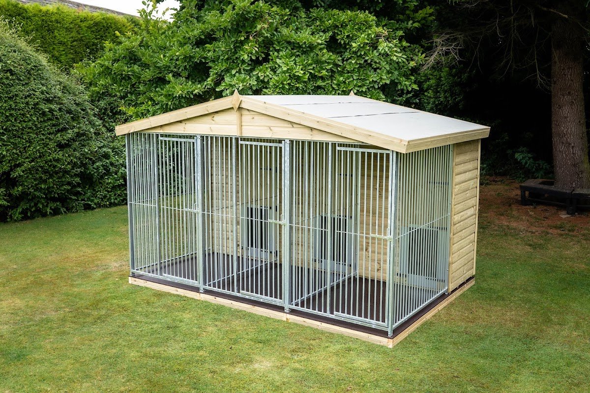 DogHealth - Photo 2