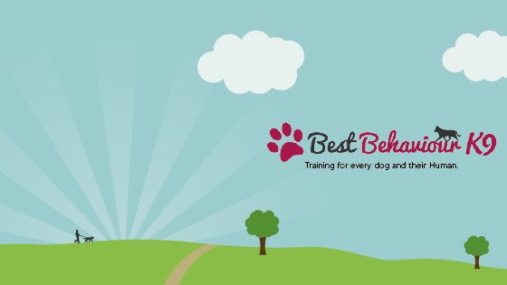 Best Behaviour K9 - Photo 2