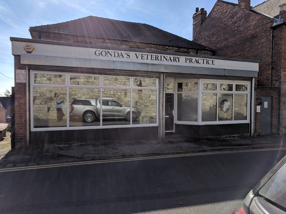 Gonda's Veterinary Practice - Photo 2