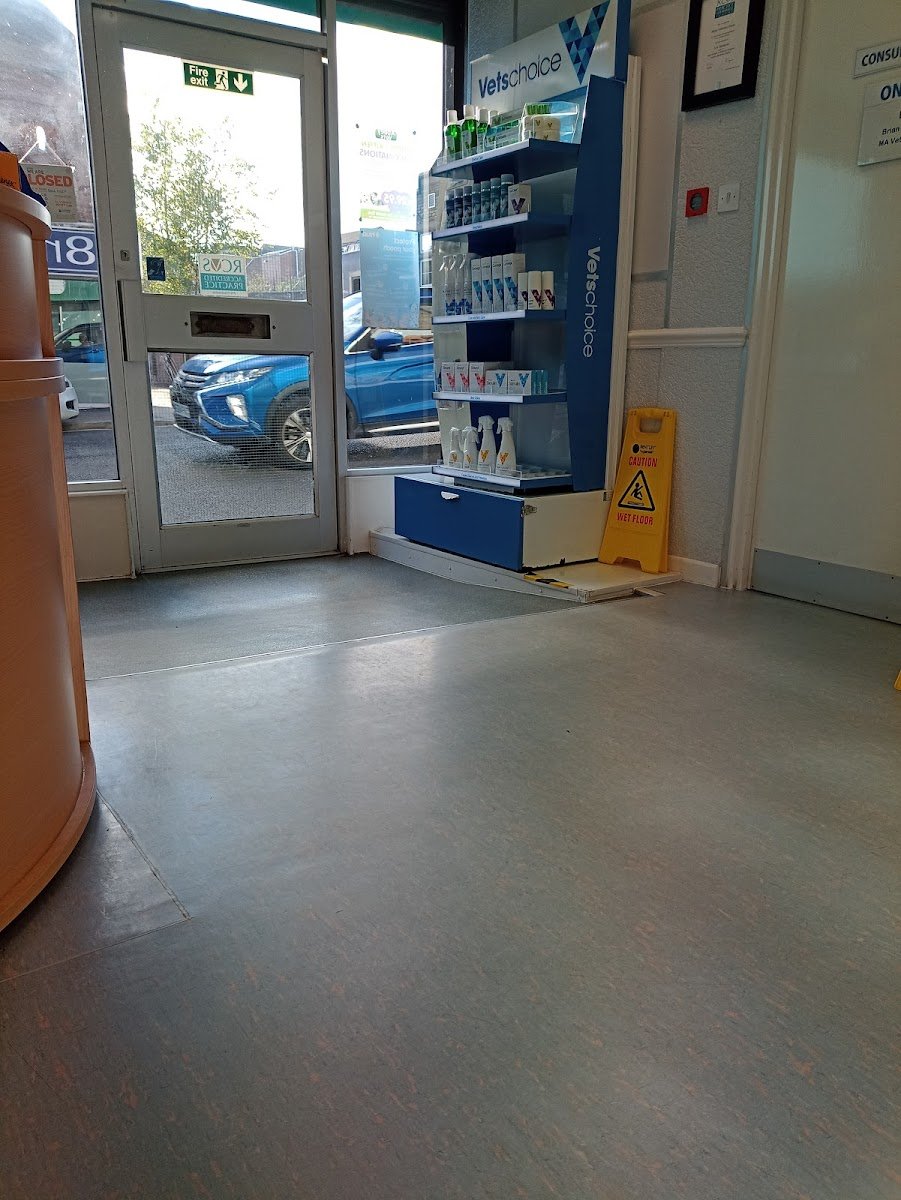 Abbey Vets - Photo 2