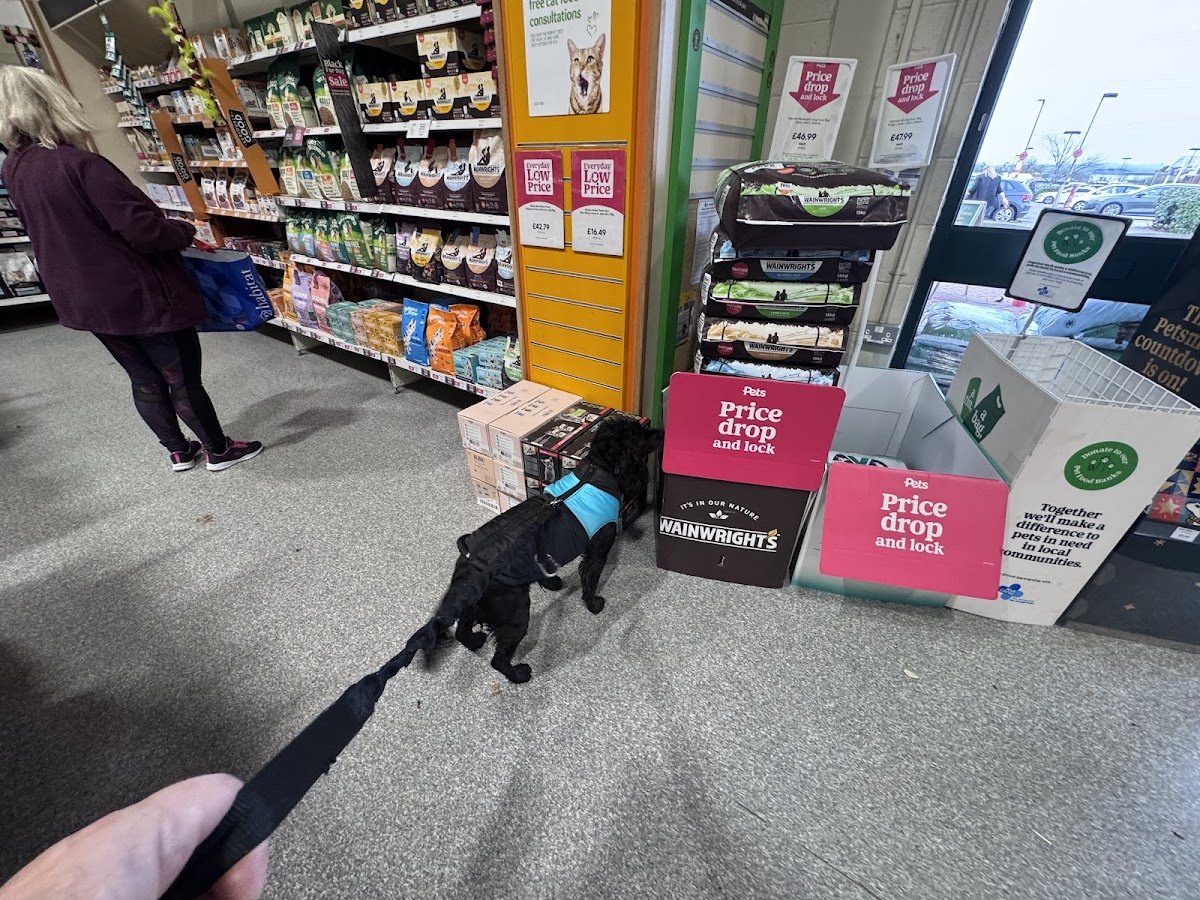 Pets at Home Sheffield - Photo 2