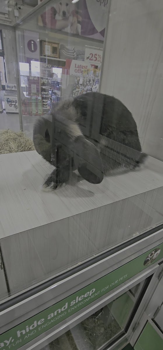 Pets at Home Sheffield - Photo 4