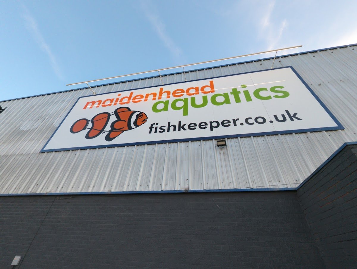 Maidenhead Aquatics Sheffield - Photo 2