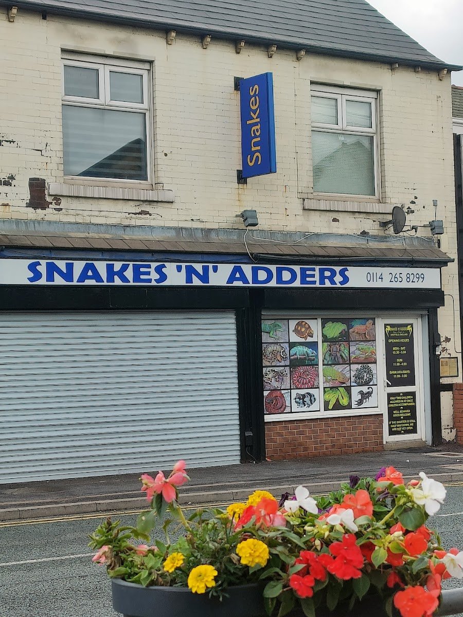 Snakes N Adders - Photo 2