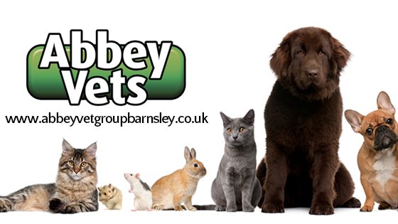 Abbey Vets - Photo 2