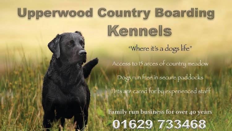 Upperwood Boarding Kennels - Photo 2