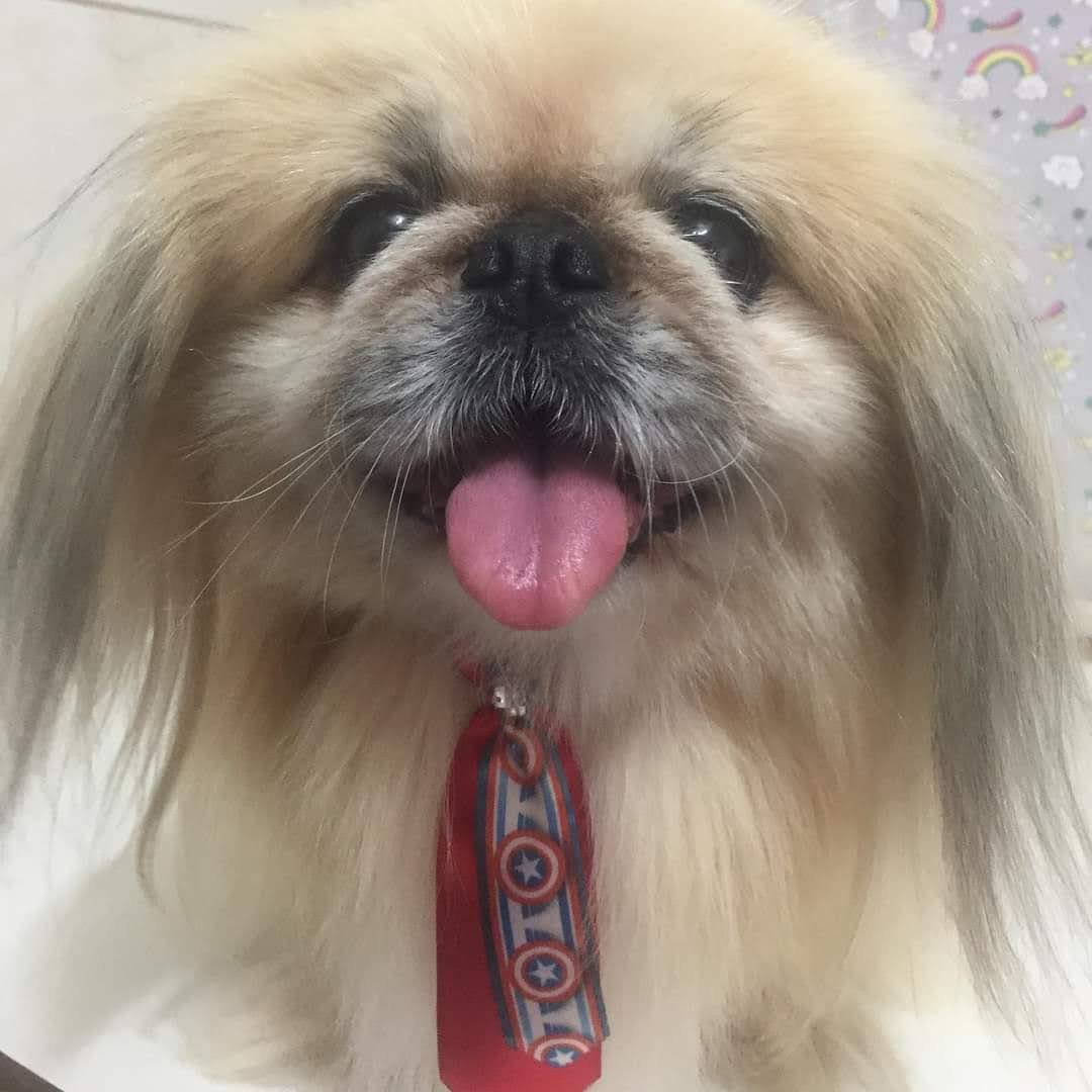 Clínica Veterinária Super Vet