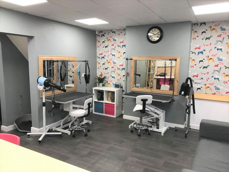 Paws Dog Grooming - Photo 2