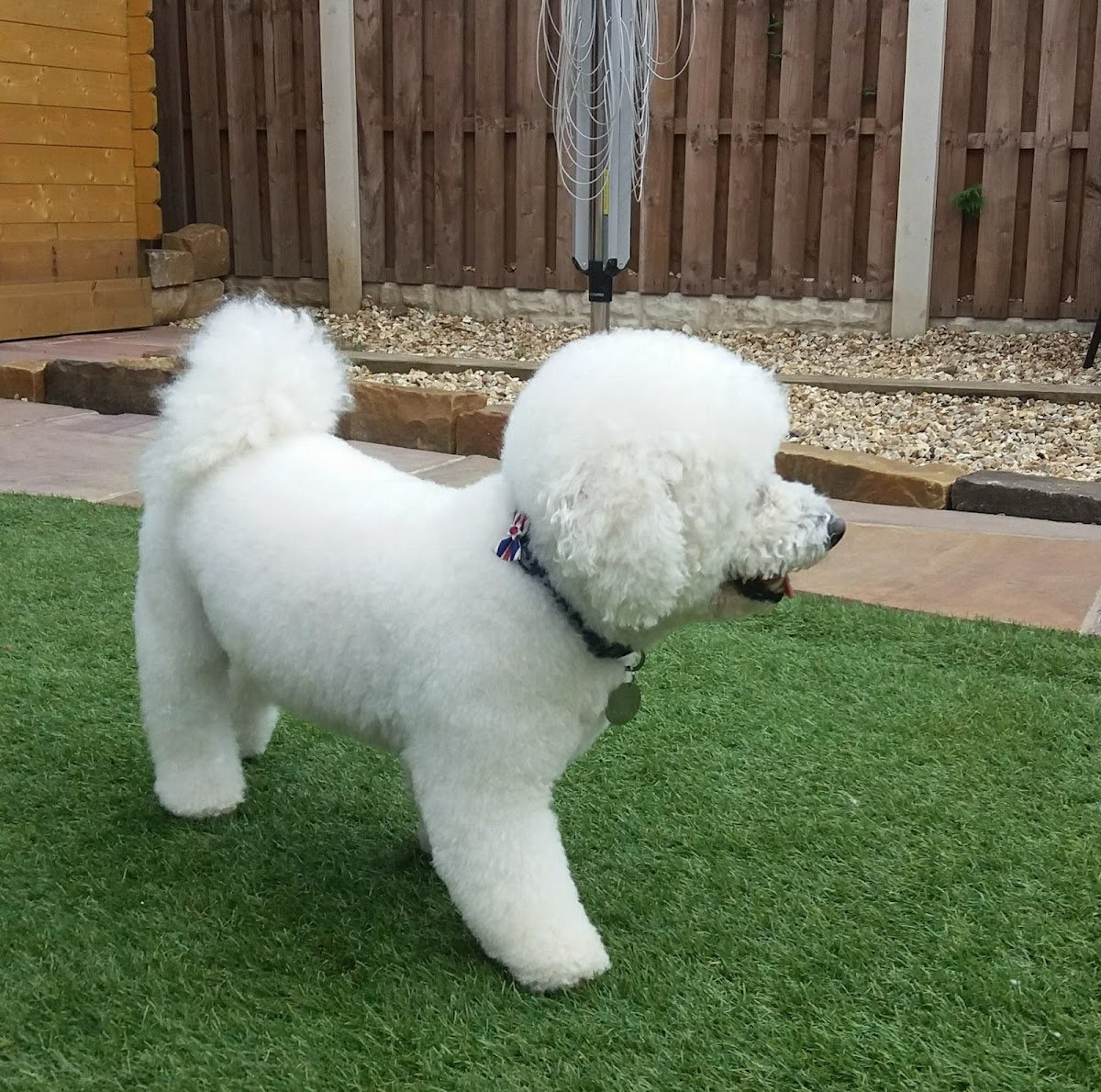 La Poochie Parlour - Photo 2