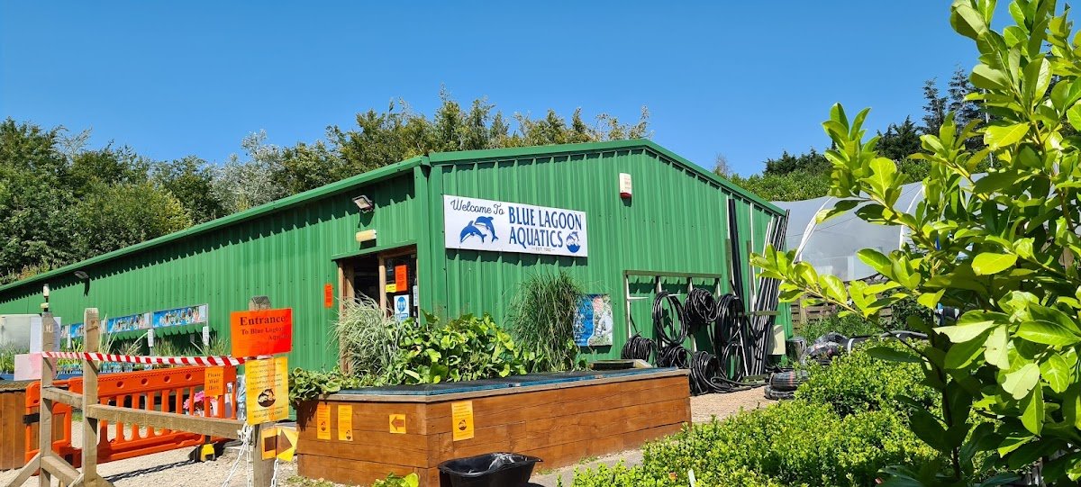 Blue Lagoon Aquatics - Photo 2