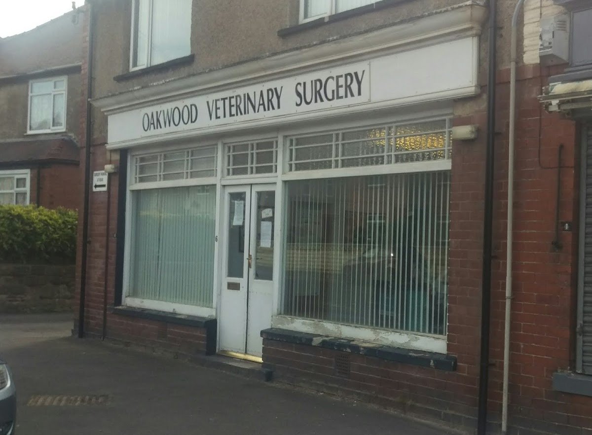 Oakwood Veterinary Surgery - Photo 3