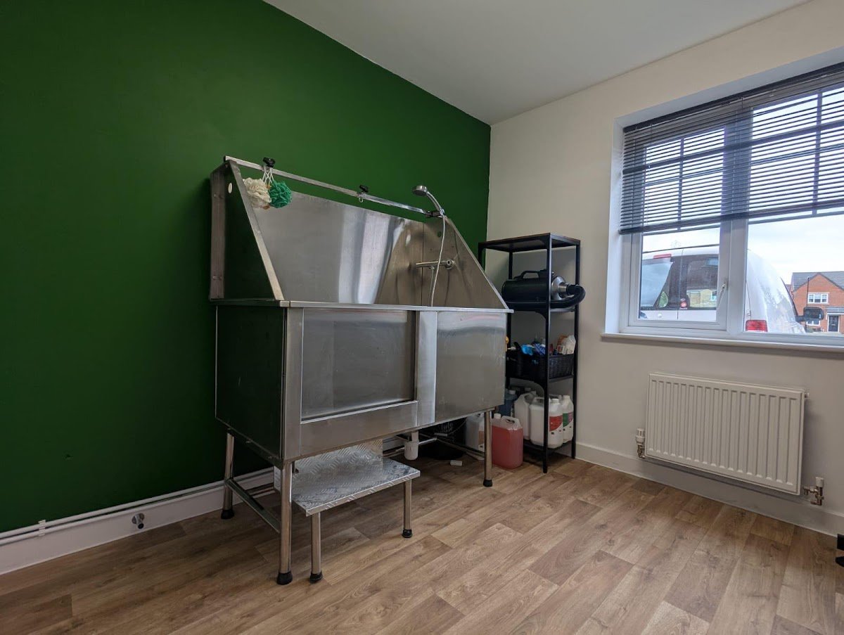 Taylor’s Dog Grooming - Photo 2