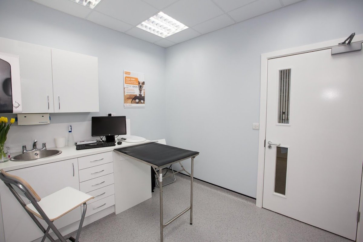 Vets4Pets - Gateshead - Photo 2