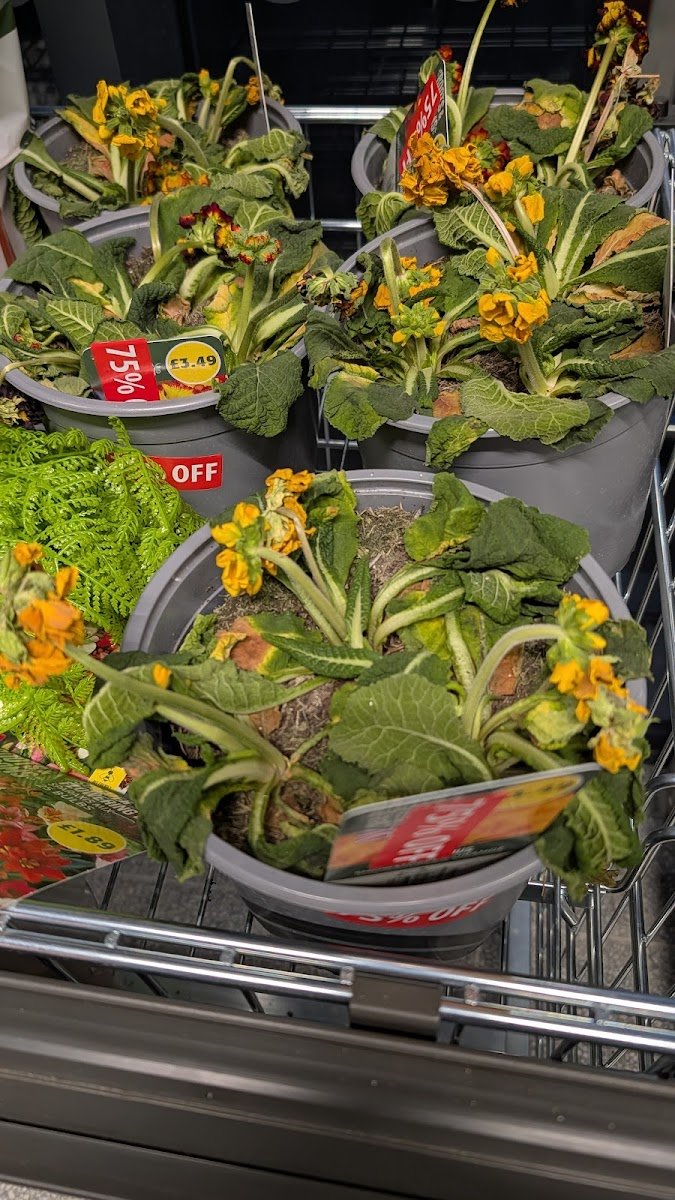 ALDI - Photo 2