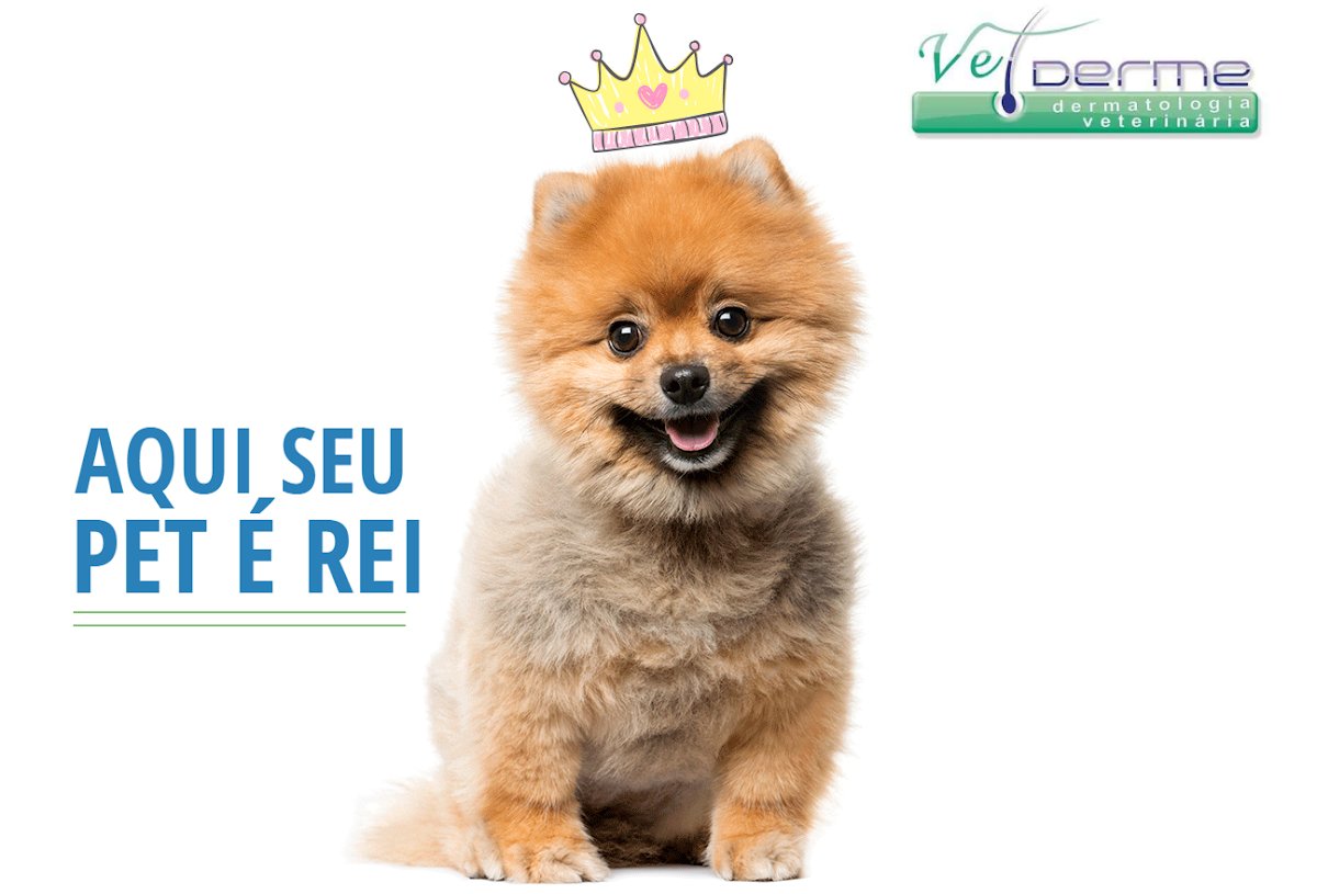 Vetderme Dermatologia Veterinária