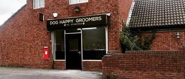Dog Happy - Photo 2
