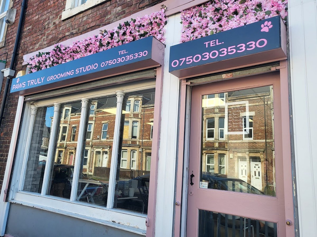 Paws Truly Grooming Studio - Photo 2
