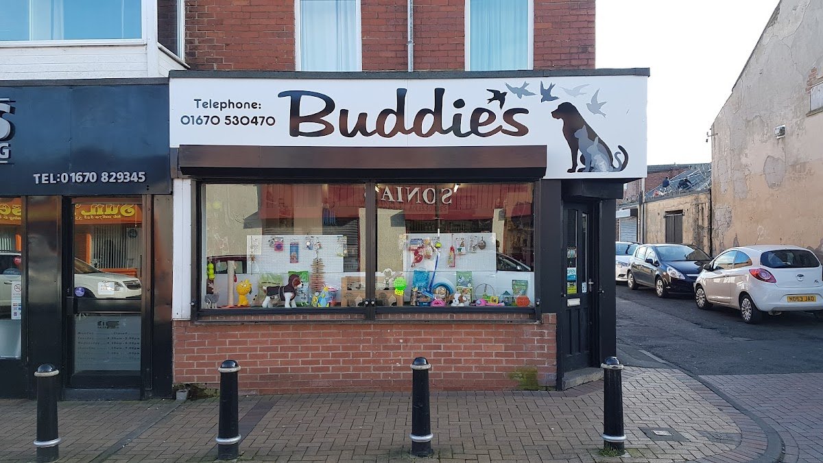 Buddies Pet Supplies - Photo 2