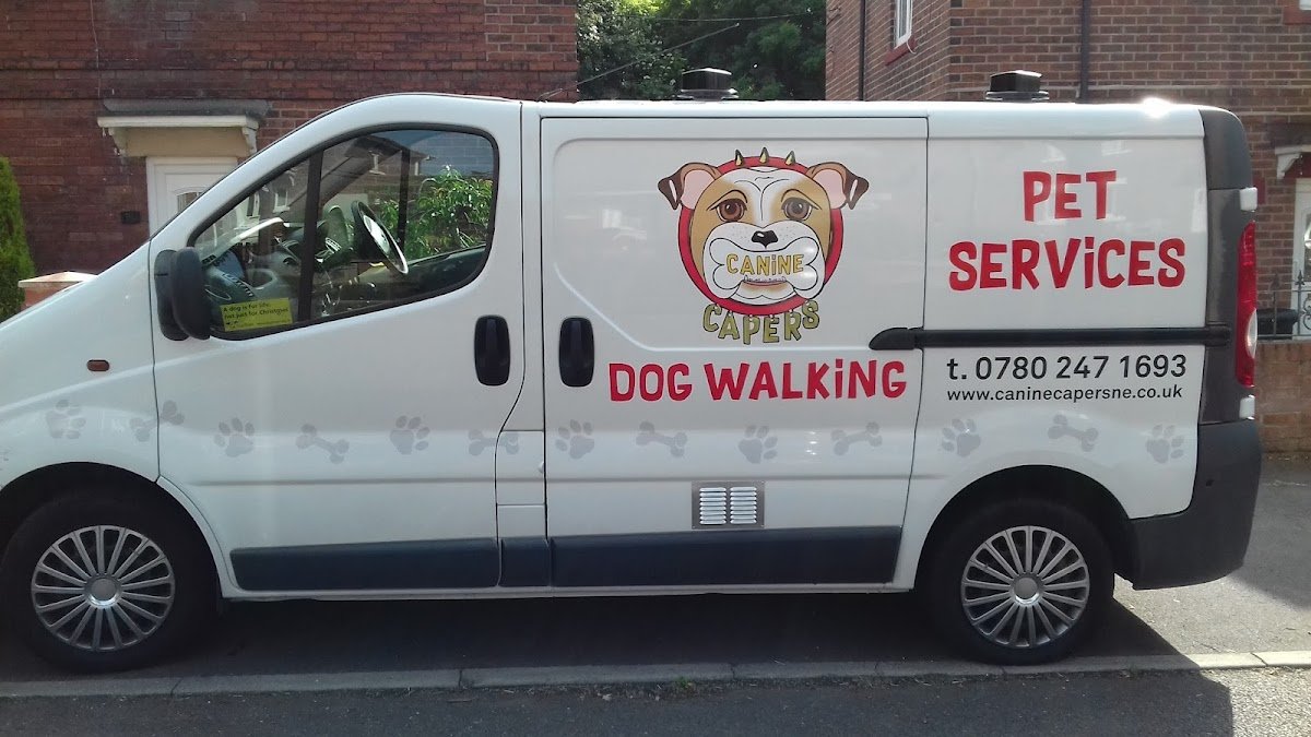 Canine Capers - Photo 2