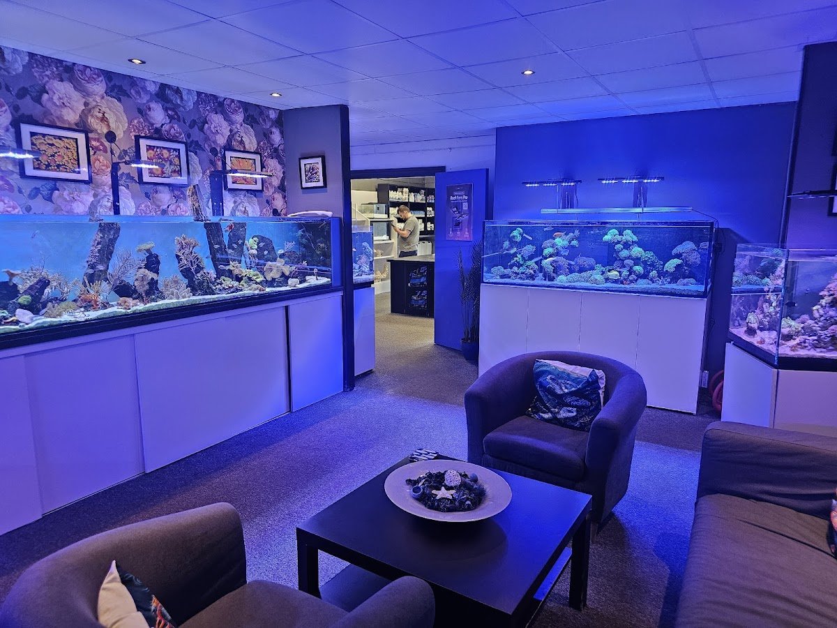 The Reef Experience - Photo 2