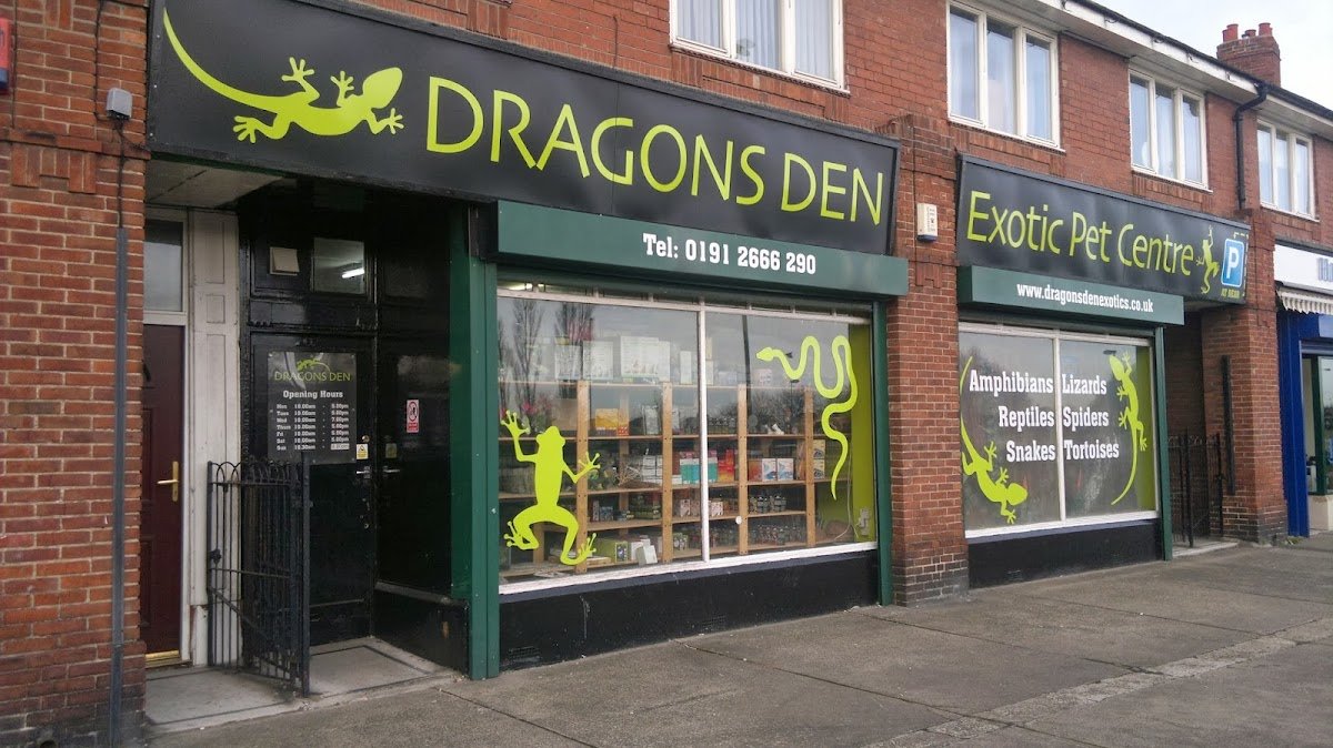 Dragons Den Exotic Pets- Reptiles, Snakes, Amphibians, Lizards, Arachnids - Photo 2